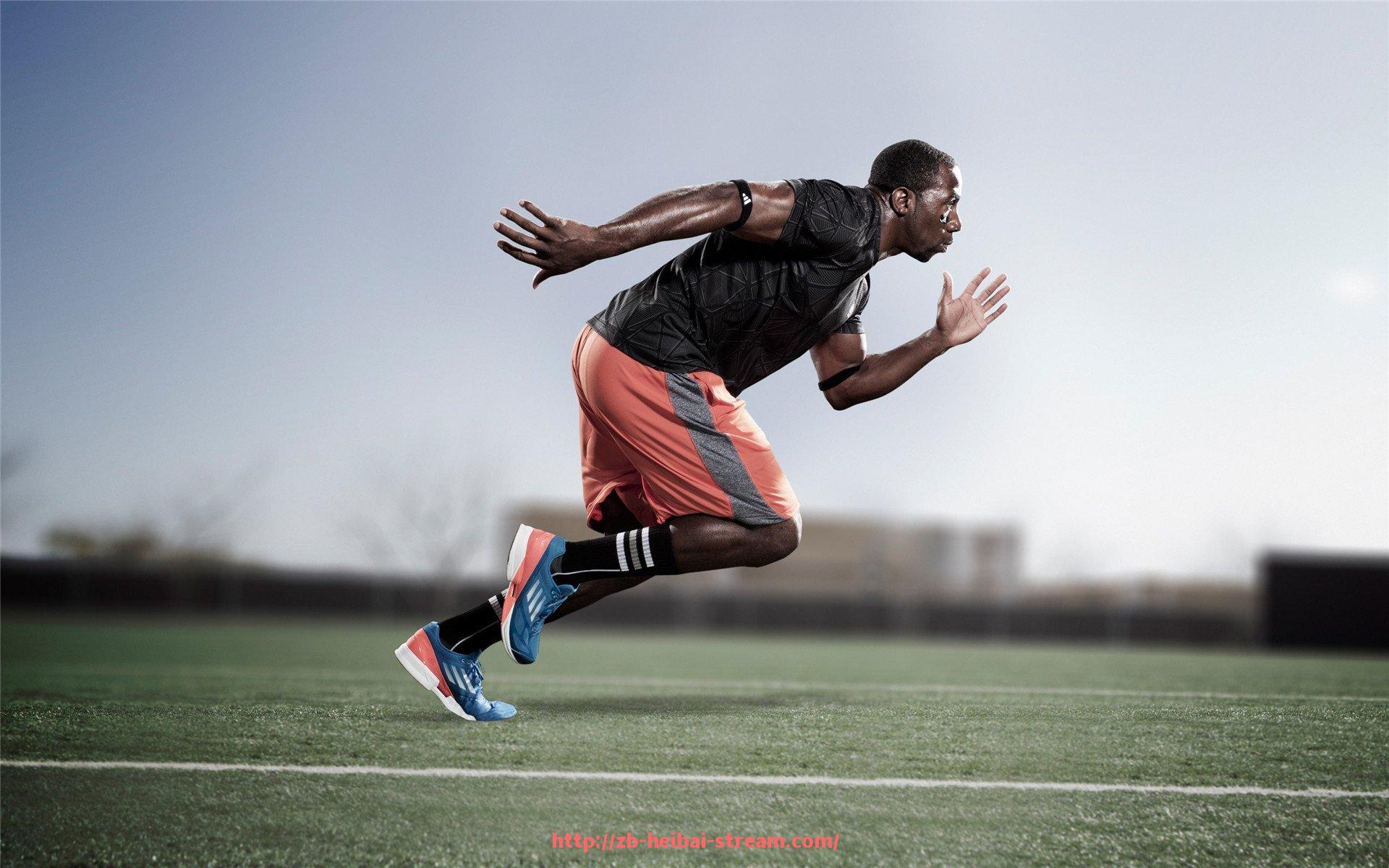 黑白体育直播-健身俱乐部健身器材配置:健身房常见高端器材及使用建议