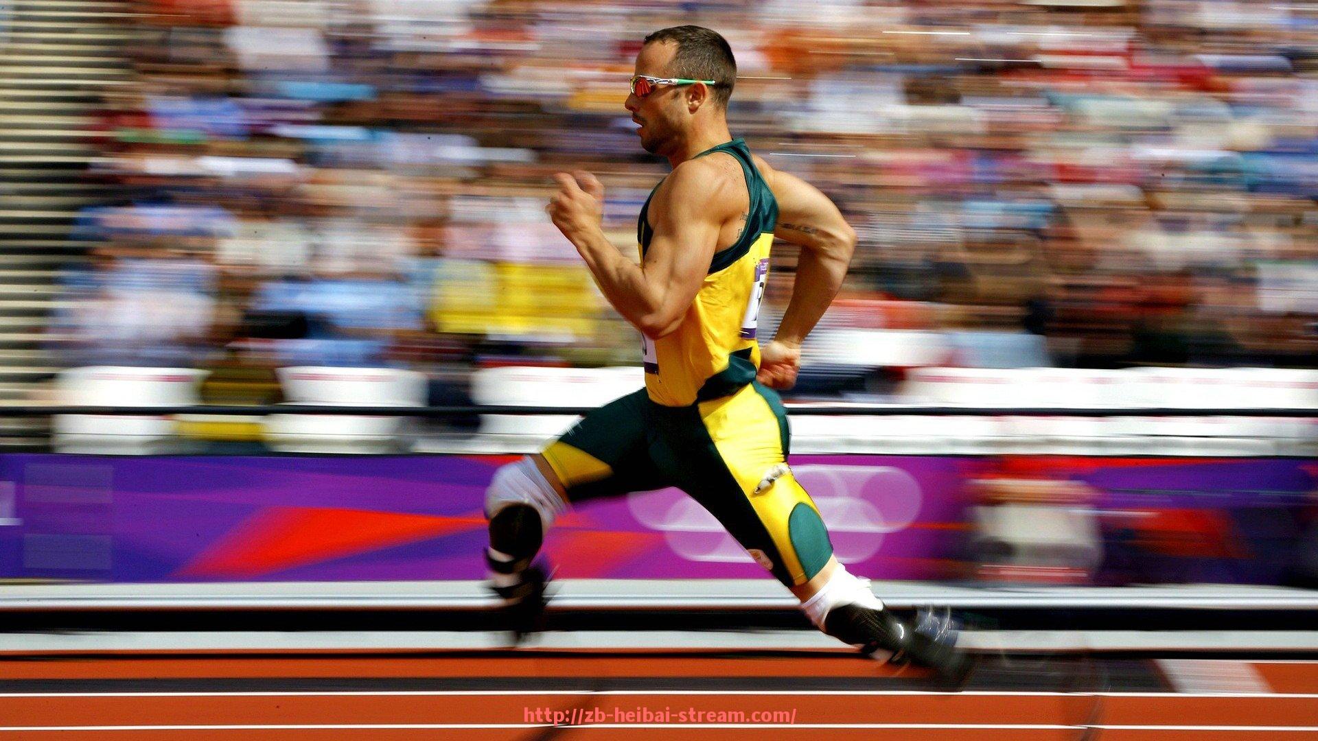 黑白体育直播-嘉纳斯健身器材公司简介及产品优势分析